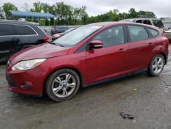 Ford Focus salvage cars for sale: 2014 Ford Focus SE