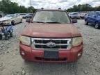 2008 Ford Escape XLT