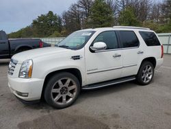 Cadillac salvage cars for sale: 2011 Cadillac Escalade Luxury