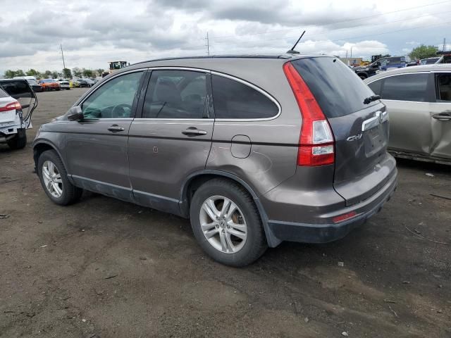 2010 Honda CR-V EXL