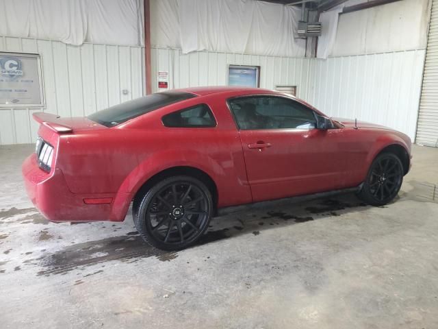 2005 Ford Mustang