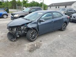Salvage cars for sale at York Haven, PA auction: 2014 Toyota Corolla L