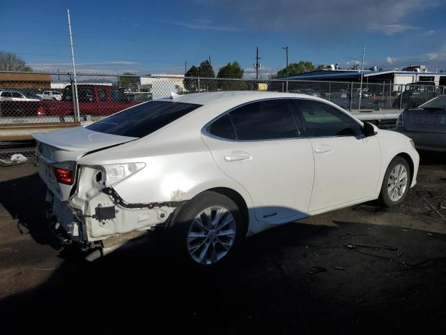 2013 Lexus ES 300H