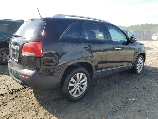 2011 KIA Sorento Base