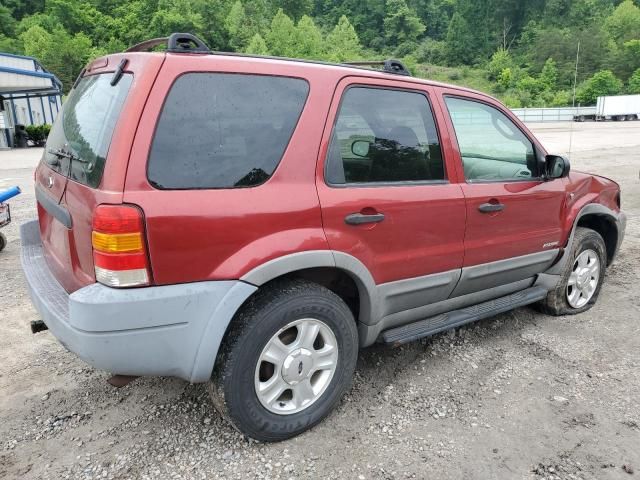 2001 Ford Escape XLT