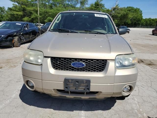 2007 Ford Escape XLT