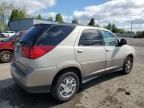 2005 Buick Rendezvous CX