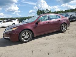 Salvage cars for sale from Copart Harleyville, SC: 2010 Acura TL