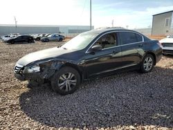 Salvage cars for sale from Copart Phoenix, AZ: 2011 Honda Accord LXP