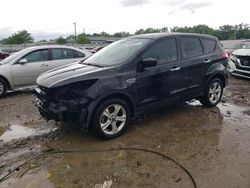 Salvage cars for sale from Copart Louisville, KY: 2013 Ford Escape S