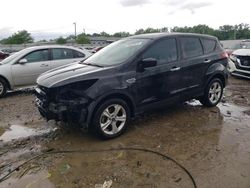 Ford salvage cars for sale: 2013 Ford Escape S