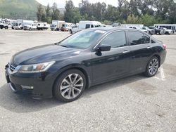 Vehiculos salvage en venta de Copart Van Nuys, CA: 2013 Honda Accord Sport