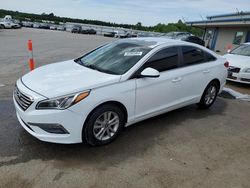 Salvage cars for sale at Memphis, TN auction: 2017 Hyundai Sonata SE