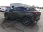 2024 Lexus NX 350H Base