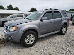 Vehiculos salvage en venta de Copart Prairie Grove, AR: 2008 Ford Escape HEV