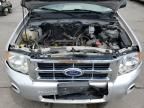 2010 Ford Escape XLS