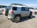 2010 Toyota FJ Cruiser