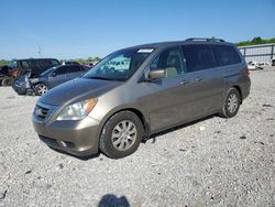 Salvage cars for sale at Lawrenceburg, KY auction: 2010 Honda Odyssey EXL