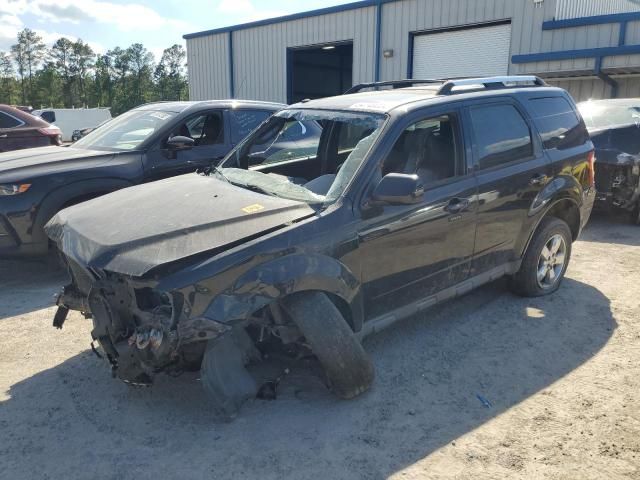 2010 Ford Escape Limited