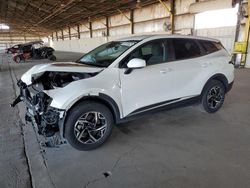 Salvage cars for sale at Phoenix, AZ auction: 2023 KIA Sportage LX