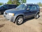 2001 Ford Escape XLT