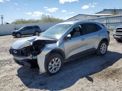 Salvage cars for sale from Copart Albany, NY: 2023 Ford Escape Active