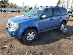 Ford Escape XLT salvage cars for sale: 2010 Ford Escape XLT