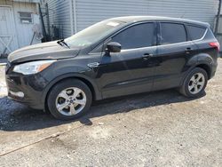Salvage cars for sale at York Haven, PA auction: 2014 Ford Escape SE