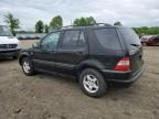 2001 Mercedes-Benz ML 320