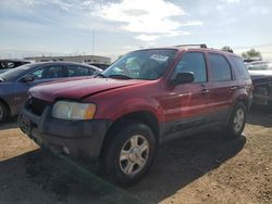 Salvage cars for sale at Elgin, IL auction: 2003 Ford Escape XLT