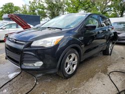 Ford Vehiculos salvage en venta: 2013 Ford Escape SE