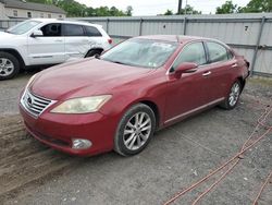 Lexus ES 350 Vehiculos salvage en venta: 2011 Lexus ES 350