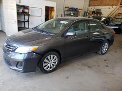 Salvage cars for sale from Copart Ham Lake, MN: 2013 Toyota Corolla Base