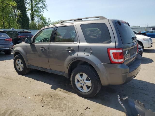 2010 Ford Escape XLT