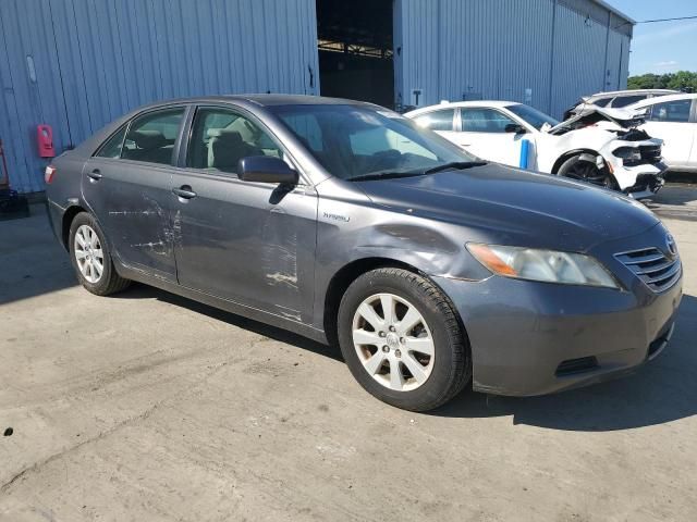 2007 Toyota Camry Hybrid