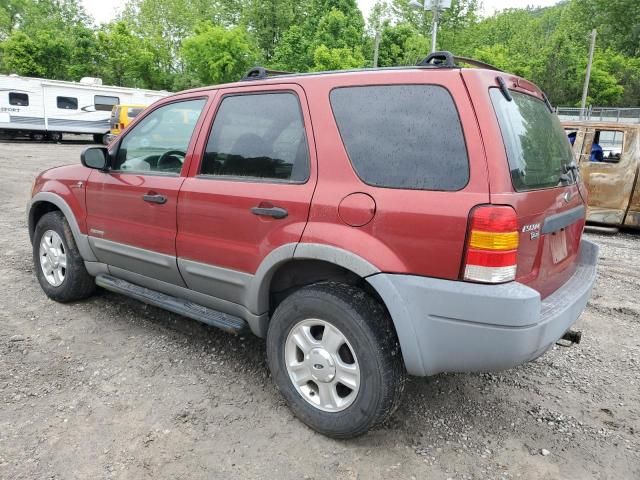 2001 Ford Escape XLT