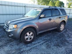 Salvage cars for sale at Gastonia, NC auction: 2011 Ford Escape XLT