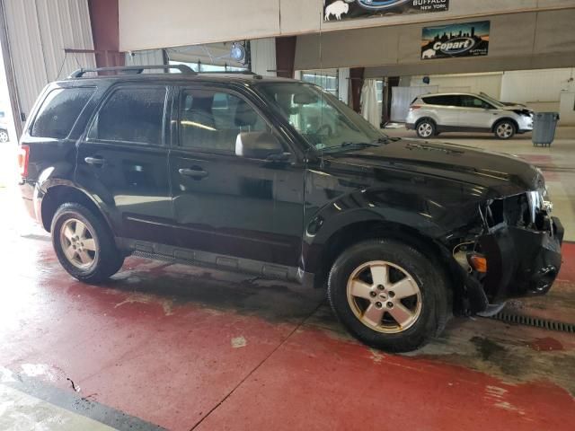 2012 Ford Escape XLT