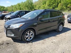 Salvage cars for sale at Marlboro, NY auction: 2014 Ford Escape SE