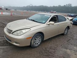 Lexus Vehiculos salvage en venta: 2004 Lexus ES 330