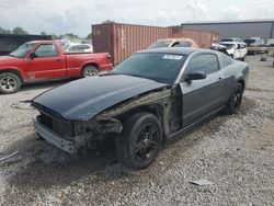 Ford salvage cars for sale: 2014 Ford Mustang