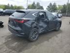 2024 Lexus NX 350H Base