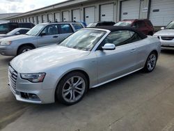 Salvage cars for sale at Louisville, KY auction: 2013 Audi S5 Prestige