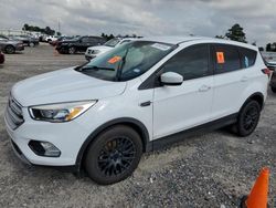 Salvage cars for sale at auction: 2019 Ford Escape SE