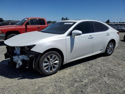 Lexus es 300h salvage cars for sale: 2014 Lexus ES 300H