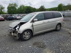 Honda Odyssey exl salvage cars for sale: 2005 Honda Odyssey EXL