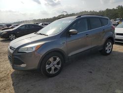 Salvage cars for sale at Greenwell Springs, LA auction: 2014 Ford Escape SE