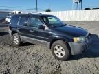 2007 Ford Escape XLT