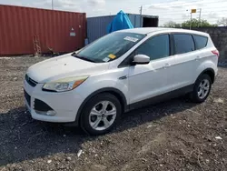 Salvage cars for sale at Homestead, FL auction: 2014 Ford Escape SE