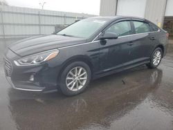 Salvage cars for sale at Assonet, MA auction: 2019 Hyundai Sonata SE